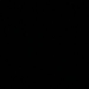 Meet your Posher, Gabriella